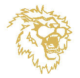 Lion's Computers srl - Vendita e Assistenza Computers dal 1984 - via Acqui 2/B 00183 Roma